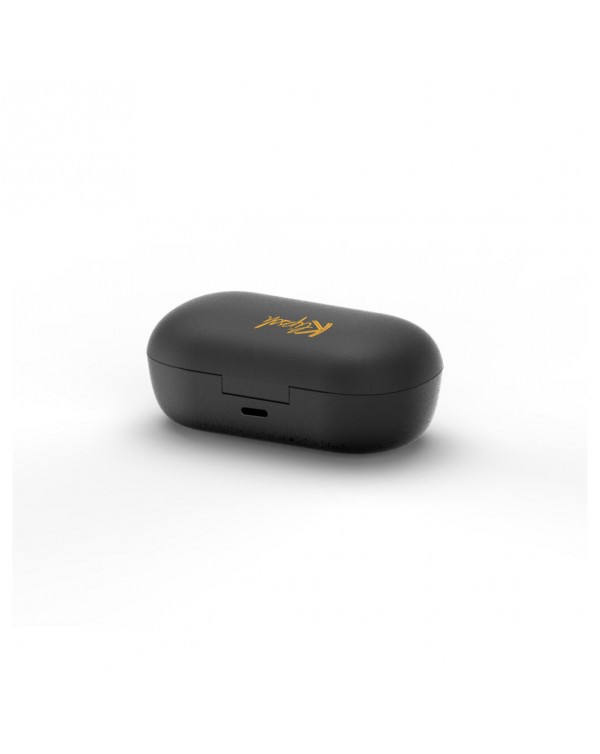T3 TRUE WIRELESS EARPHONES