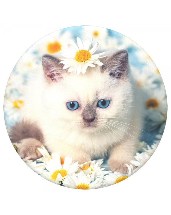 PopSockets - PopTop (swappable top only) Purrfect Flower