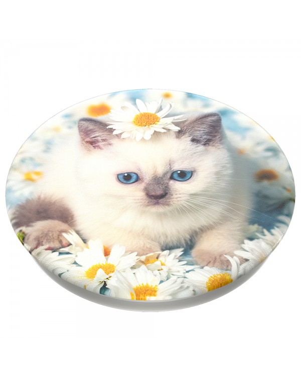 PopSockets - PopTop (swappable top only) Purrfect Flower